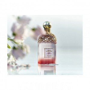 Guerlain Aqua Allegoria Flora Cherrysia