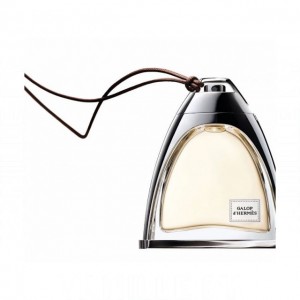 Hermes Galop d'Hermes