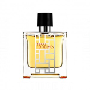 Hermes Terre d'Hermes flacon H 2013