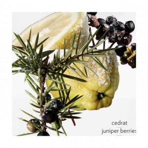 Hermes Terre d'Hermes Eau Givree