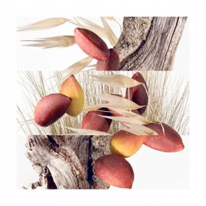 Hermes Un Jardin a Cythere