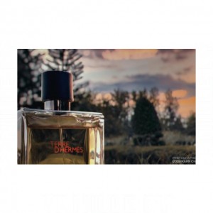 Hermes Terre d'Hermes Flacon H 2019 Parfum