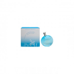 Hermes Eau Des Merveilles Pegasus