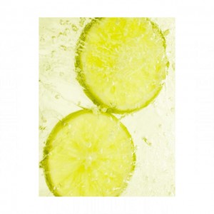 Herve Gambs Paris Ice Lemon