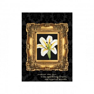 Ineke Gilded Lily