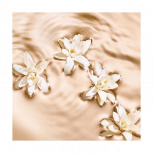 Jimmy Choo Radiant Tuberose