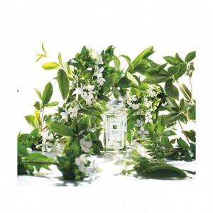 Jo Malone London Osmanthus Blossom