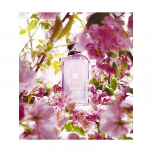 Jo Malone London Plum Blossom