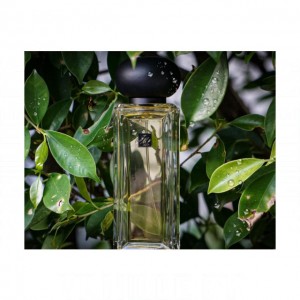 Jo Malone London Golden Needle Tea