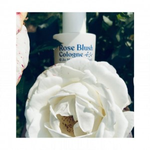 Jo Malone London Rose Blush Cologne