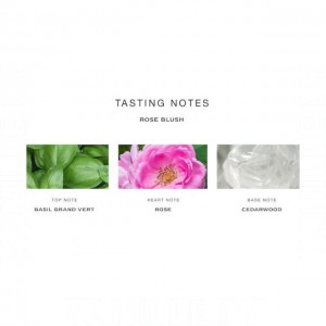Jo Malone London Rose Blush Cologne