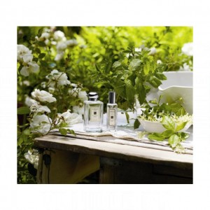 Jo Malone London Honeysuckle & Jasmine