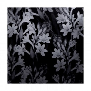 Jo Malone London Tuberose Angelica Rich Extrait