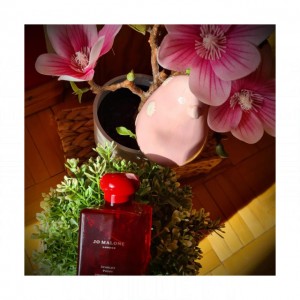 Jo Malone London Scarlet Poppy Intense