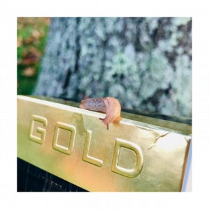 Juicy Couture Glistening Amber