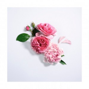 Lancome Rose Peonia