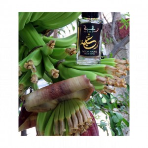 Lattafa Raghba Wood Intense