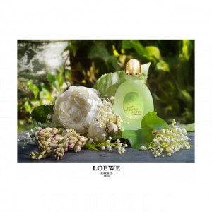 Loewe Aire Evasion