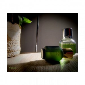 Loewe Pour Homme
