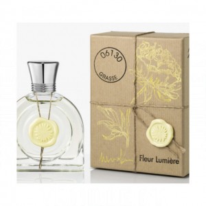 M. Micallef Fleur Lumiere
