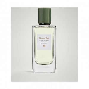 Massimo Dutti Island Accord
