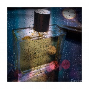 Miller Harris Vetiver Insolent
