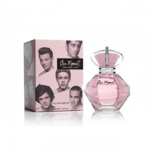 One Direction Our Moment