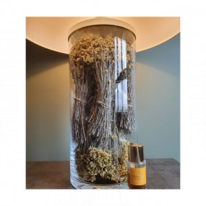 Parfum d'Empire Immortelle Corse