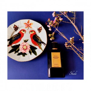 Prada Mirages Midnight Train