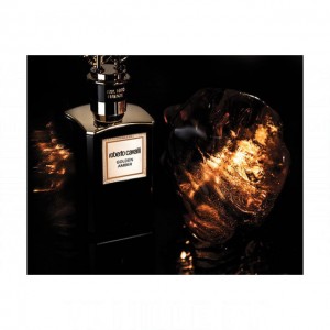 Roberto Cavalli Golden Amber