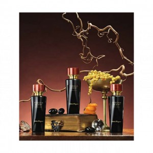 Salvatore Ferragamo Incense Suede