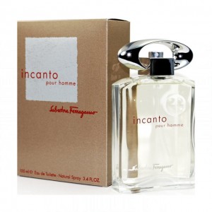Salvatore Ferragamo Incanto pour homme
