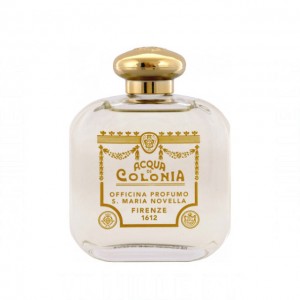 Santa Maria Novella Violetta