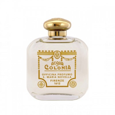 Santa Maria Novella Violetta