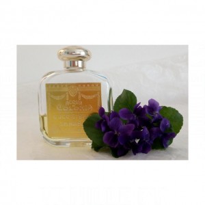 Santa Maria Novella Violetta