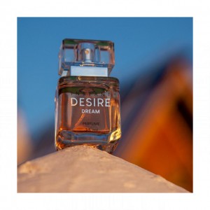 Sergio Nero Instant Desire, Dream