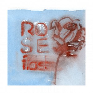 Tauerville Rose Flash