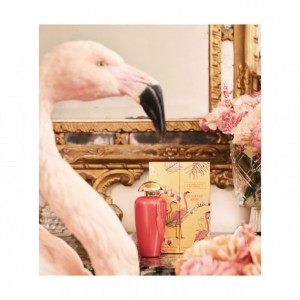 The Merchant of Venice Flamant Rose