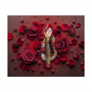 The Merchant of Venice Rose Cloud