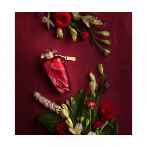 The Merchant of Venice Red Potion