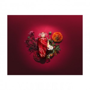 The Merchant of Venice Red Potion