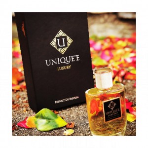 Unique'e Luxury Hidden Accords