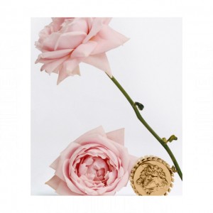 Versace Eclat de Rose