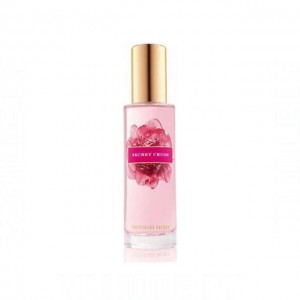 Victoria's Secret Secret Crush