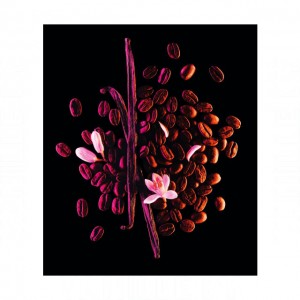 Yves Saint Laurent Black Opium Storm Illusion