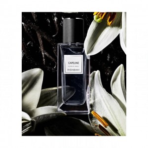 Yves Saint Laurent Capeline