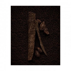 Yves Saint Laurent Splendid Wood (Le Vestiaire des Parfums)