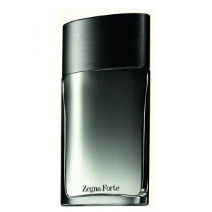 Ermenegildo Zegna Forte