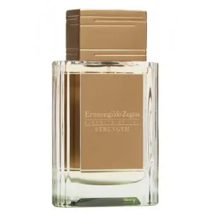 Ermenegildo Zegna Strength