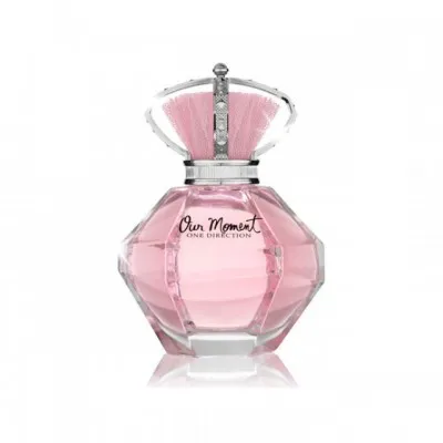 One Direction Our Moment